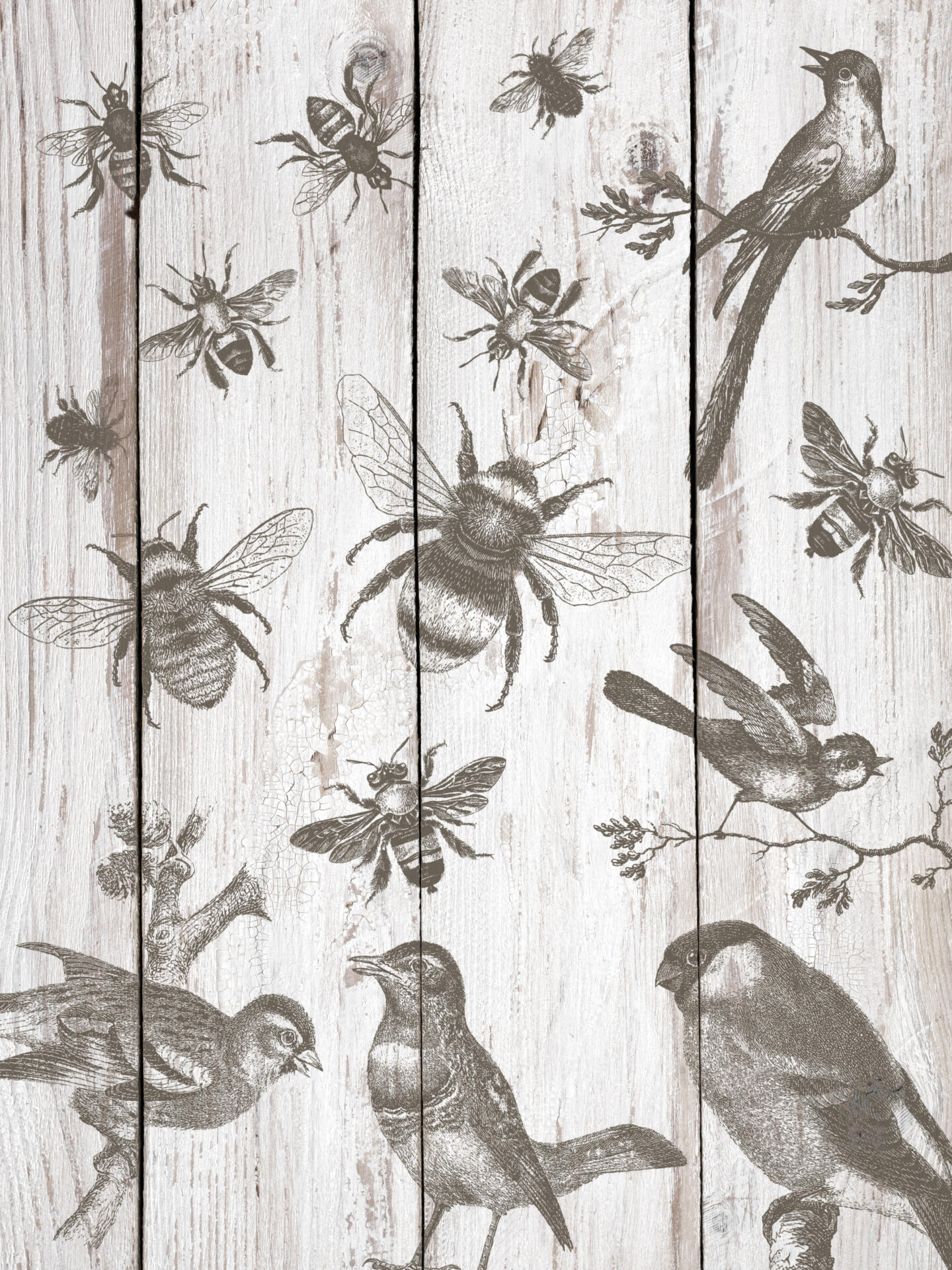 Birds-Bees-picture (1)