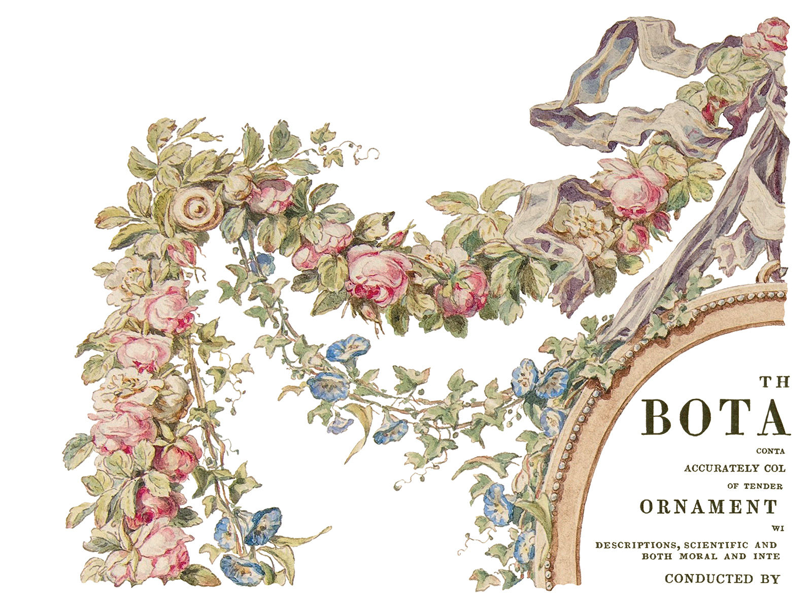 The-Botanist-page-1
