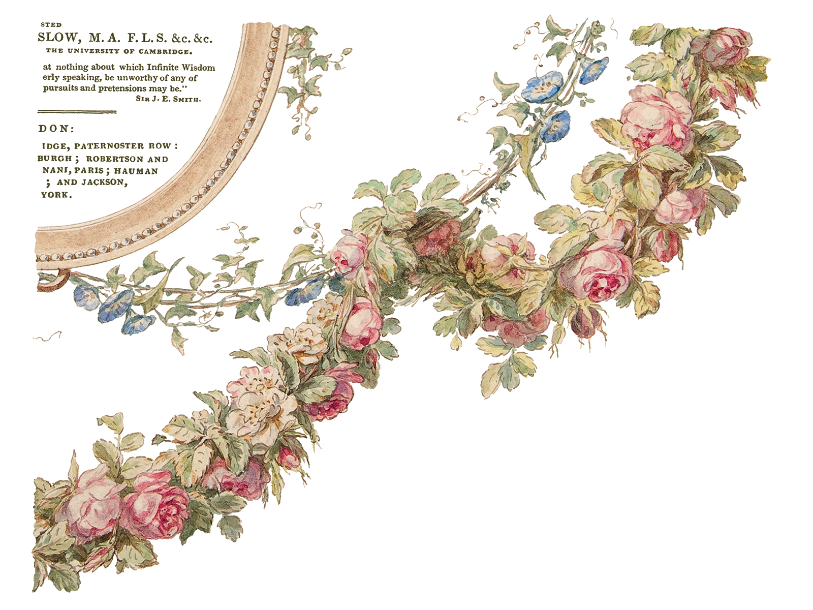 The-Botanist-page-4