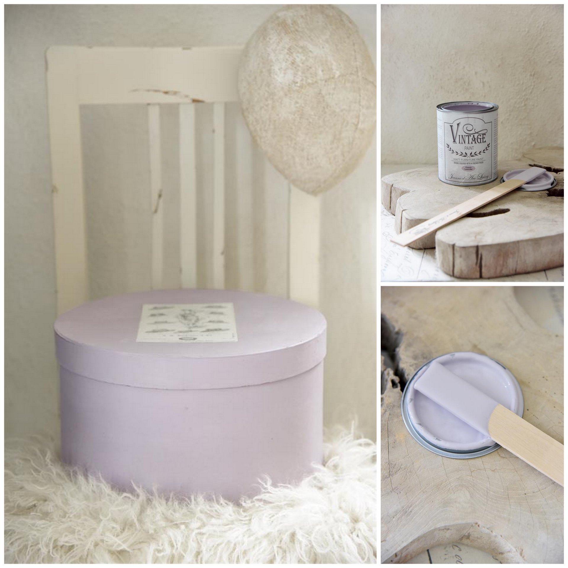 french lavender6