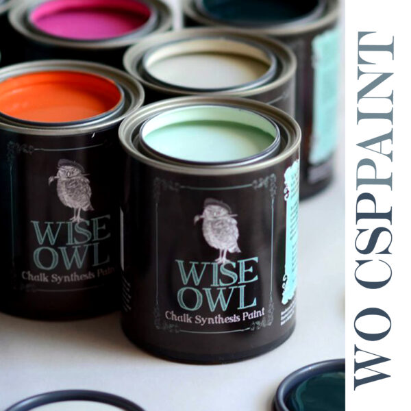 Tinta Chalk Syntesis Wise Owl